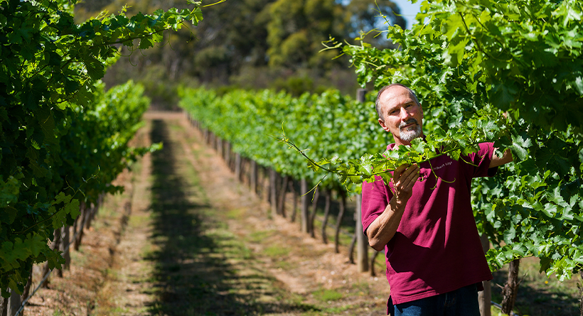 Sandhurst Ridge Vineyard